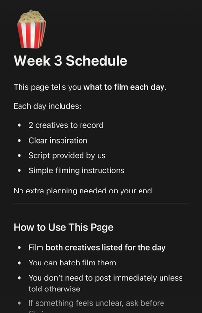 Week 3 Schedule, creator briefing in Notion